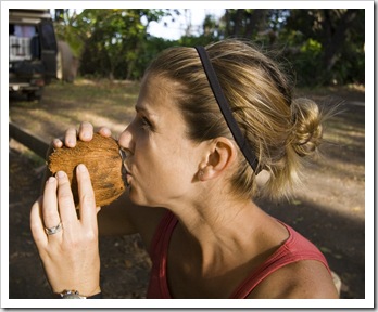 Fresh coconuts off the beach at Chili Beach