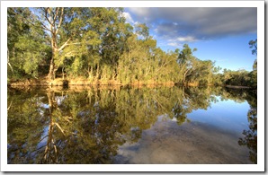 Afternoon sun on Emu Creek from our campsite