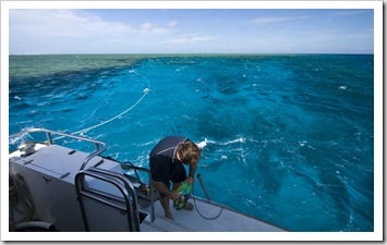 The famous Cod Hole SCUBA diving spot on the outer reef