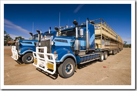 Huge cattle road trains at the Burke and Wills Roadhouse