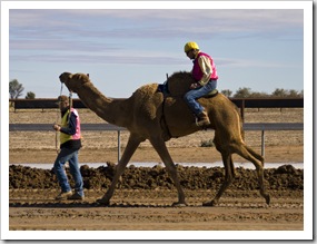 The Bedourie Camel Races