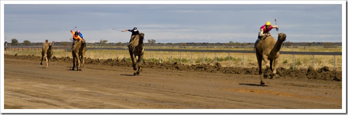 The Bedourie Camel Races