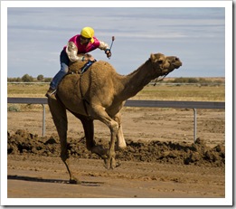 The Bedourie Camel Races