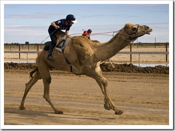 The Bedourie Camel Races (I love these lips!)