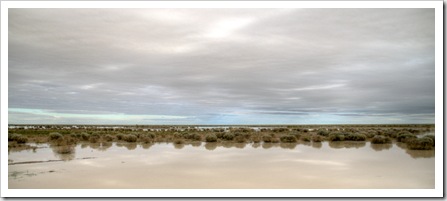 Floodplains on the way between Bedourie and Birdsville