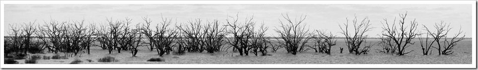 Lake Menindee