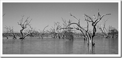 Lake Pamamaroo