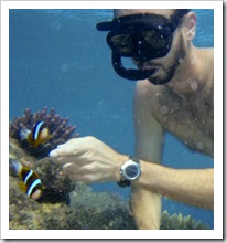 Snorkeling at Mermaid Bay