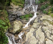 Tristania Falls in Dorrigo National Park