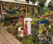 One of the eclectic shops in Maclean
