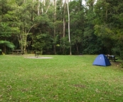 The picturesque rainforest campground at Rummery Park next to Nightcap National Park