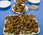 Yabby feast in Broken Hill