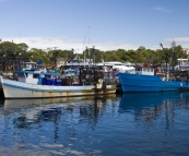 Moored fishing boats at the Sydney Fish Market