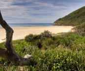 Seven Mile Beach from The Ruins campground in Booti Booti National Park