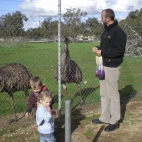 Sam, Max and Eleanor feeding the emus in Minlaton